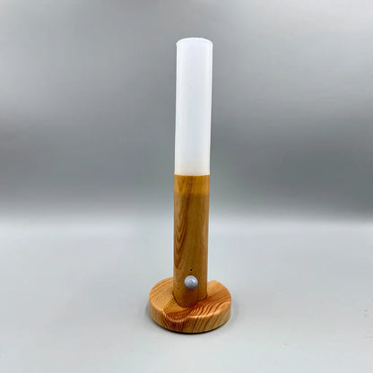 Elora Motion Sensor LED Night Light